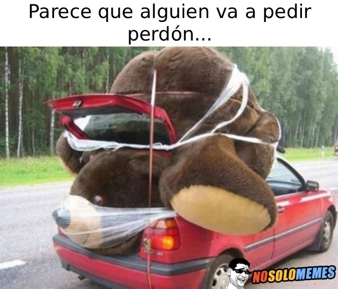 Alguien va camino de pedir perdón...