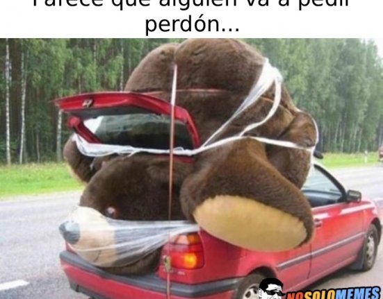 Alguien va camino de pedir perdón...